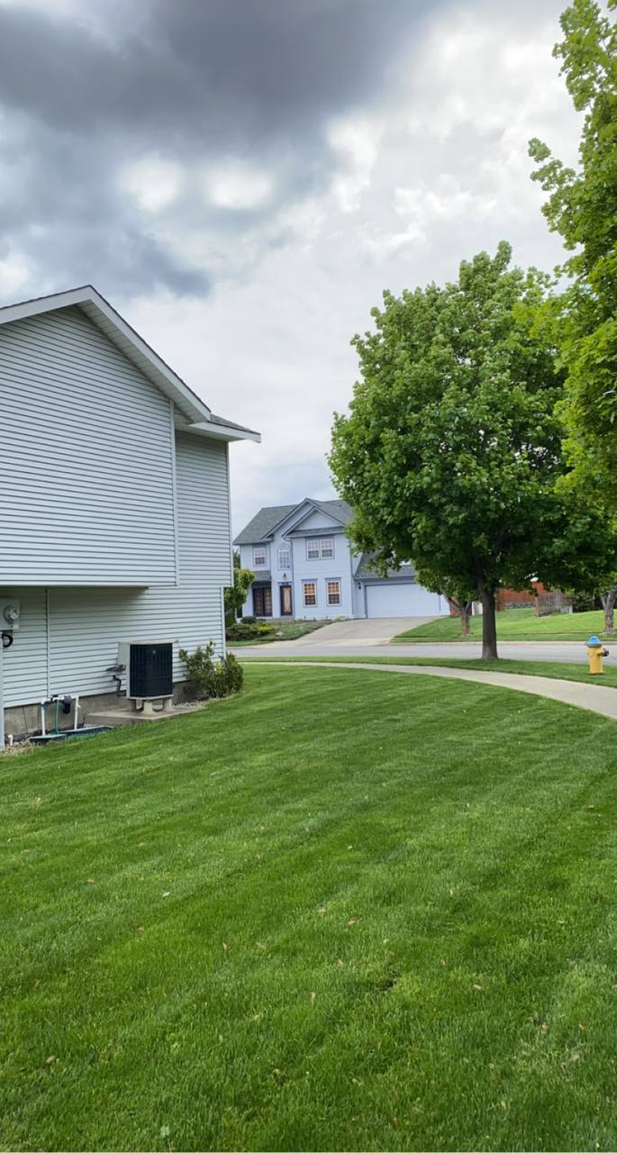 A freshly striped and mowed front lawn