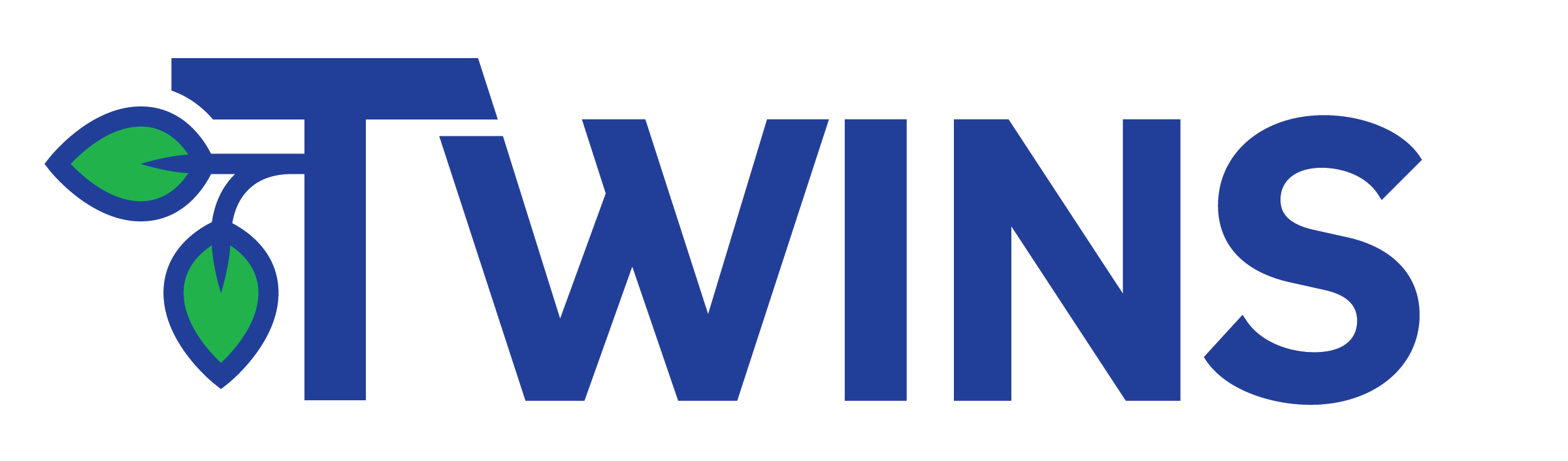 Twins Landscaping and Irrigation logo